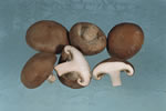 TK Shiitake-Pilze, IQF